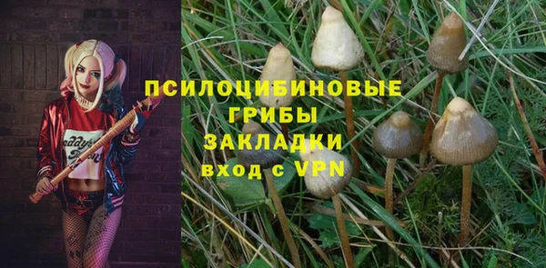 индика Арсеньев