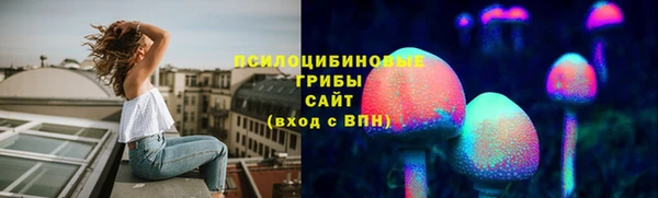 индика Арсеньев