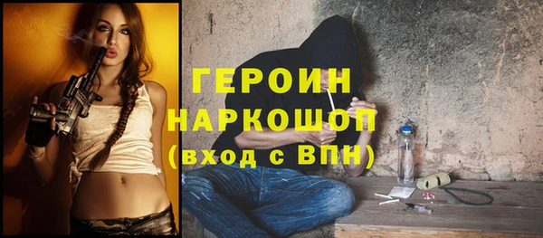 индика Арсеньев