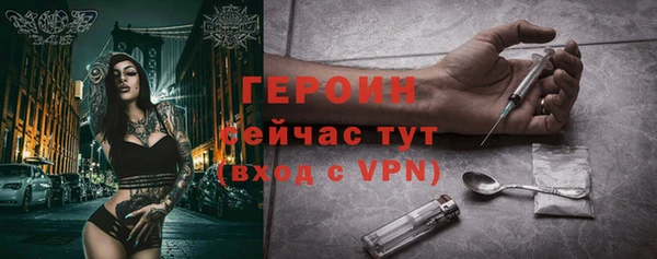индика Арсеньев